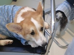 -怪兽屋·羊驼·猫咖·狗咖(俊华广场店)