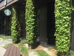 门面-星巴克(古美路店)