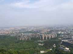 -杭州半山国家森林公园