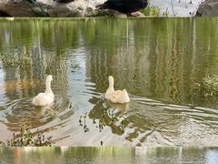 -云南艺术学院(呈贡校区)