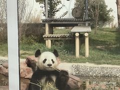 -苏州太湖国家湿地公园