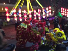 -锦江乐园舞狸花花游园会(夜场专享)
