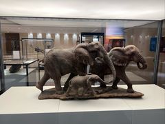 -上海对外经贸大学(古北校区)