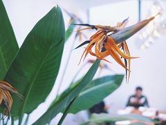 -将相和·海鲜蒸饺大连菜