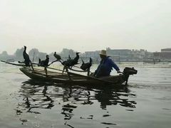 -白洋淀景区