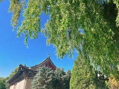 -张掖大佛寺景区