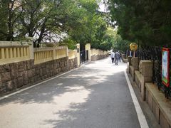 -八大关景区