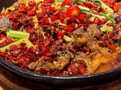 -老板恋上鱼(恒隆广场店)