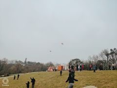 -青龙山公园