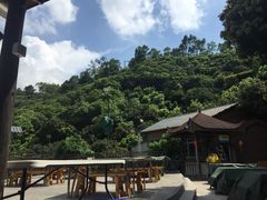鲤鱼塘农家山庄-鲤鱼塘农家山庄