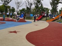 -春花秋色城市公园