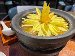 出水芙蓉-映水芙蓉(长宁来福士店)