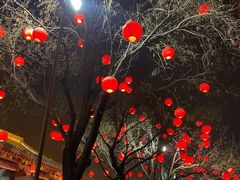-奈雪的茶(大悦城店)