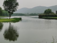 -长广溪湿地公园