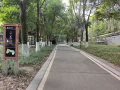 -塔子山公园
