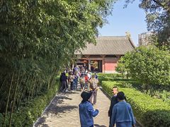 -飞云楼
