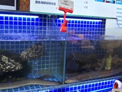 水产区-必点海鲜·鲅鱼水饺(鞍山西道店)
