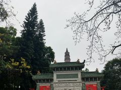 -顺峰山公园