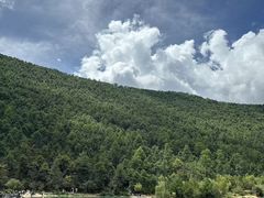 -文东记(马里士他店)