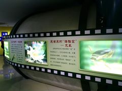 -上海昆虫博物馆