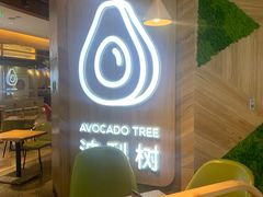 -油梨树AVOCADO TREE(嘉里中心店)