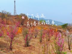 -白水寺森林公园