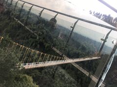 -川西竹海景区