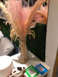 -元熙兰积皮肤管理