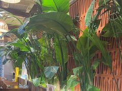 -云阿蛮云南生烫牛肉米线(奉贤路店)