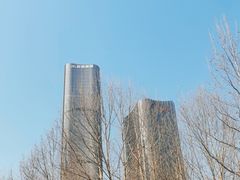 -大望京公园