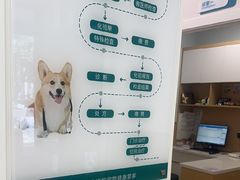 -瑞派康怡24h宠物医院·犬猫医疗中心·微创绝育(瑞景分院)