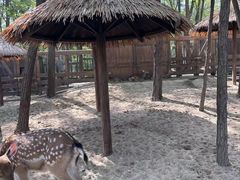 -南戴河国际娱乐中心