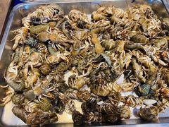 -渔公码头海货全海鲜自助(海滨旅游路店)
