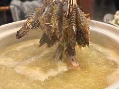 -金龙·打边炉(南京西路店)