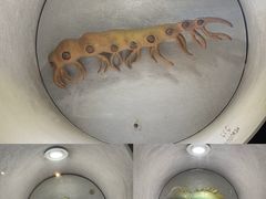 -河南自然博物馆