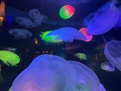 -太平洋海底世界