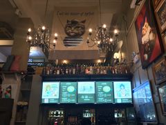 -猫咪博物馆(顶澳仔猫街店)