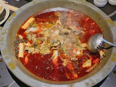 -石锅苗苗鱼(武汉首店)