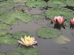 -范蠡湖公园