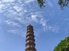 -广州莲花山旅游区