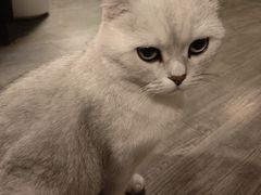 -后院儿·精酿·塔罗Happy Bar