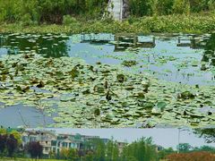 -两河城市森林公园