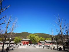 -晋祠公园