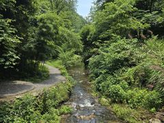 -夏霖九天银瀑风景区