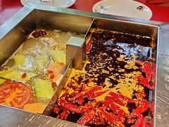 -二荆条·蜀鲜汇城市森林火锅