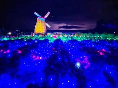 -北纬44度·金珠花海休闲农业旅游景区