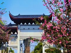 -堤角公园