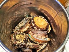 鲍鱼-乔哥铭洋海鲜自助(皇城恒隆广场店)