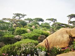 -罗红摄影艺术馆