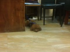 -烟雨人家(塔湾街店)